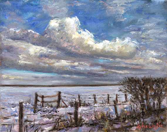 Field covered in snow with fence and hedge