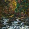 The river rushing between bolders and the trees showing autumn colours