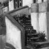Flowers And Steps