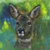 Roe dear with abstract forest background