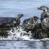 Seals Basking, Pastel