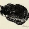 Sleeping Cat Two, Ink Sketch