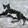 Black and white cat stretched out sunbathing