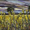 Yellow Field At Dusk